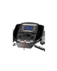 Cinta BH Pioneer R3 G6487