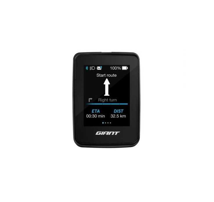 Display Giant RideDash Evo
