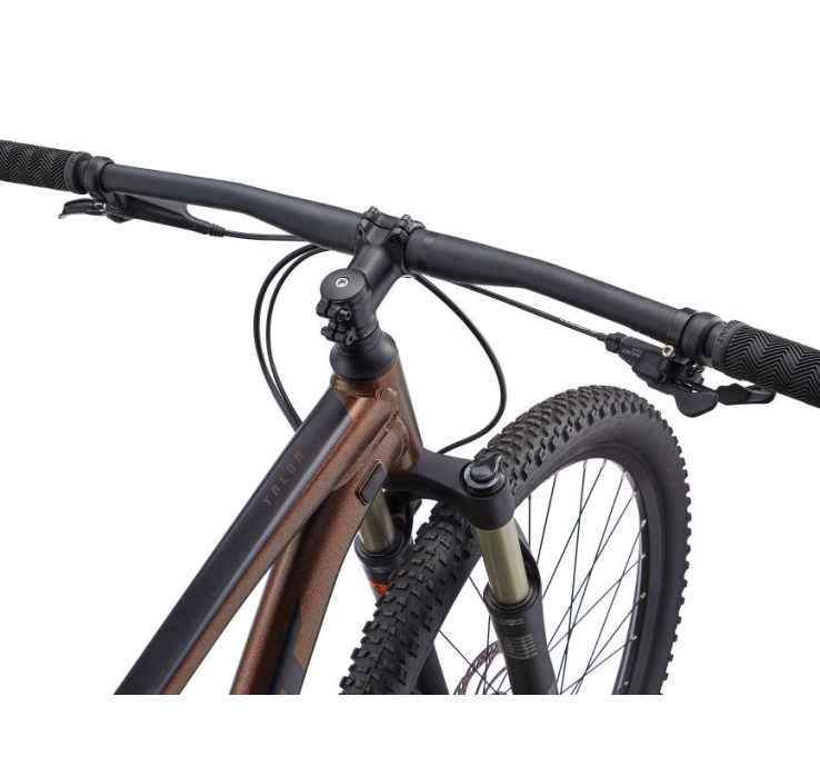 Bicicleta Giant Talon 1