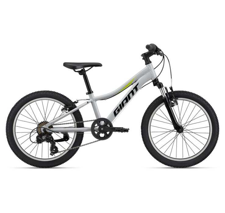 Bicicleta Infantil Giant XTC JR 20