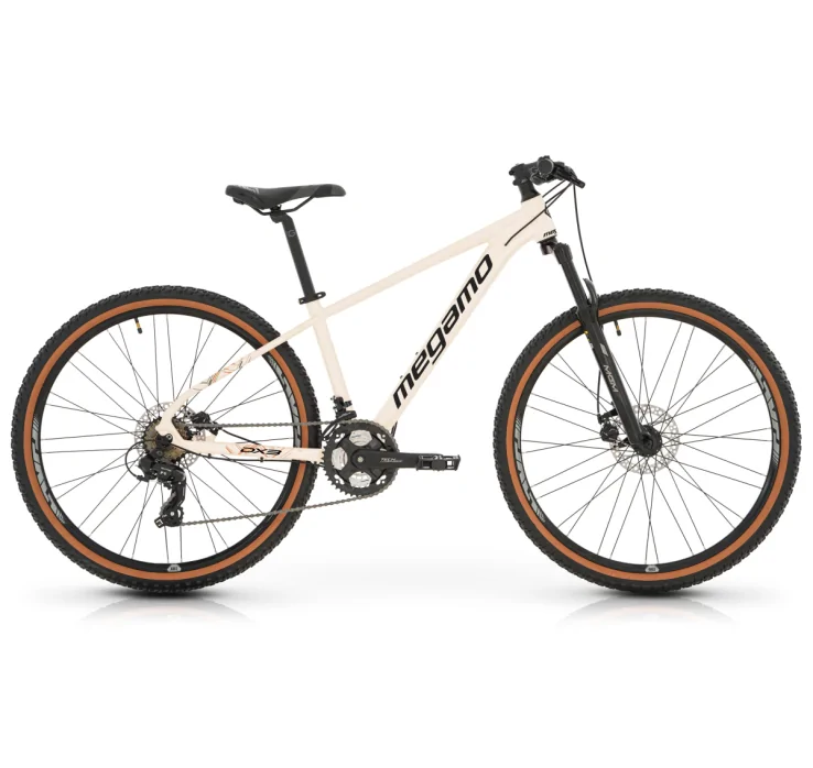 BICICLETA DX3 2026