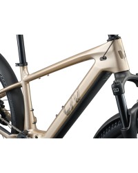 Bicicleta Liv Tempt E+ EX 2026
