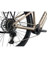 Bicicleta Liv Tempt E+ EX 2026