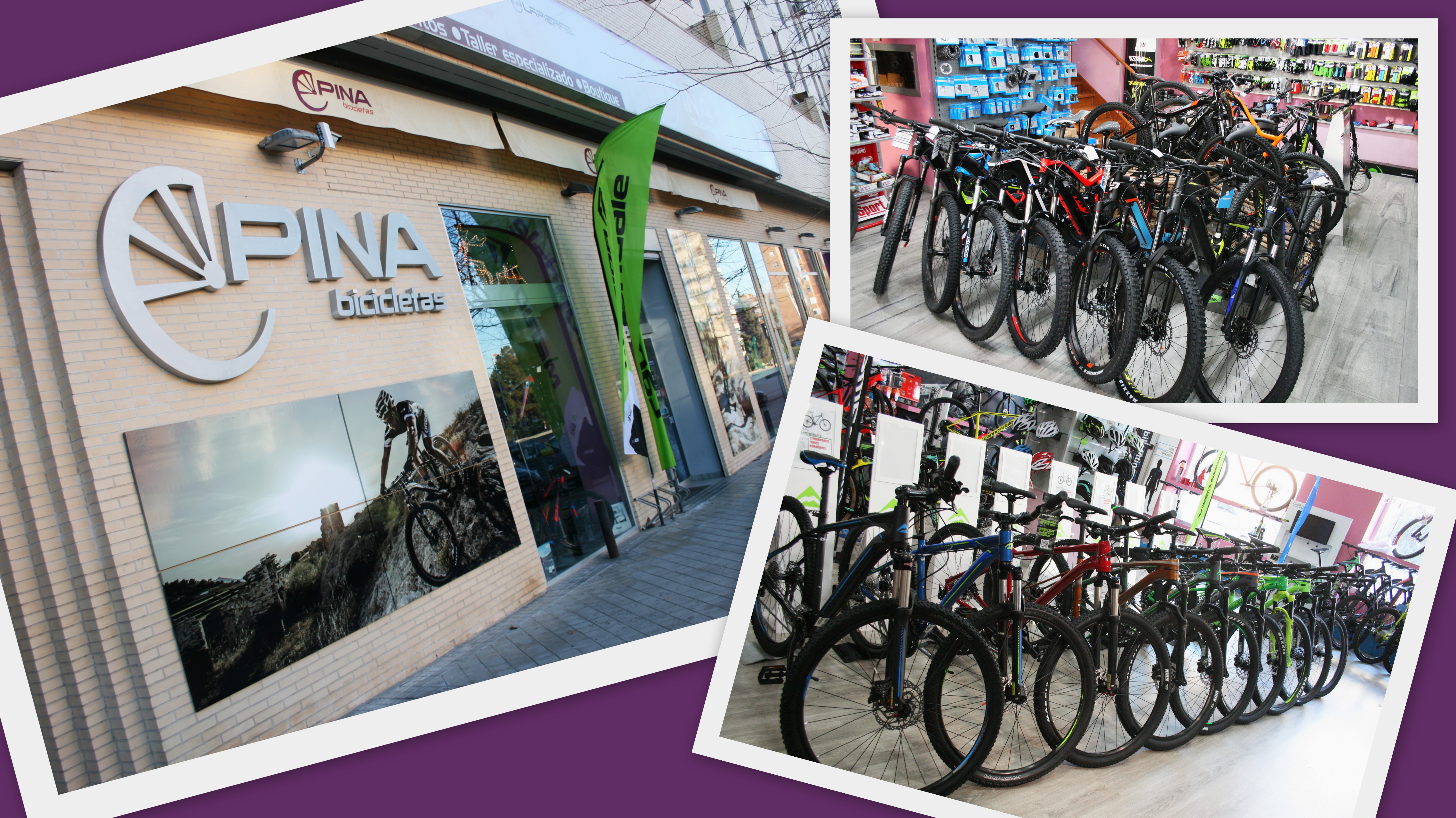 Contento saber único Alquiler de Bicicletas en Toledo - Bicispina.com
