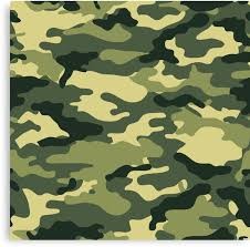 Camuflaje